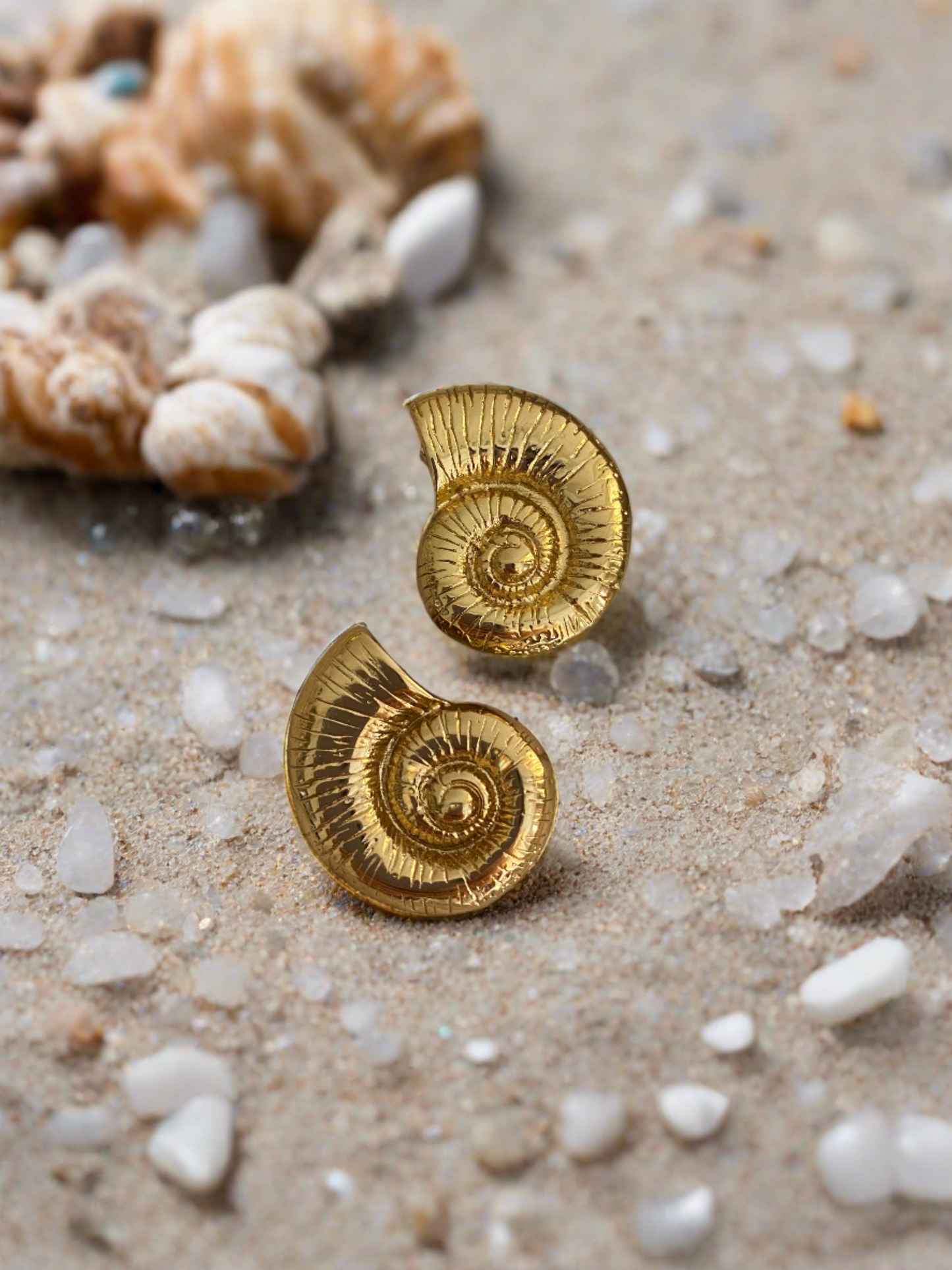 Spiral Shell earrings