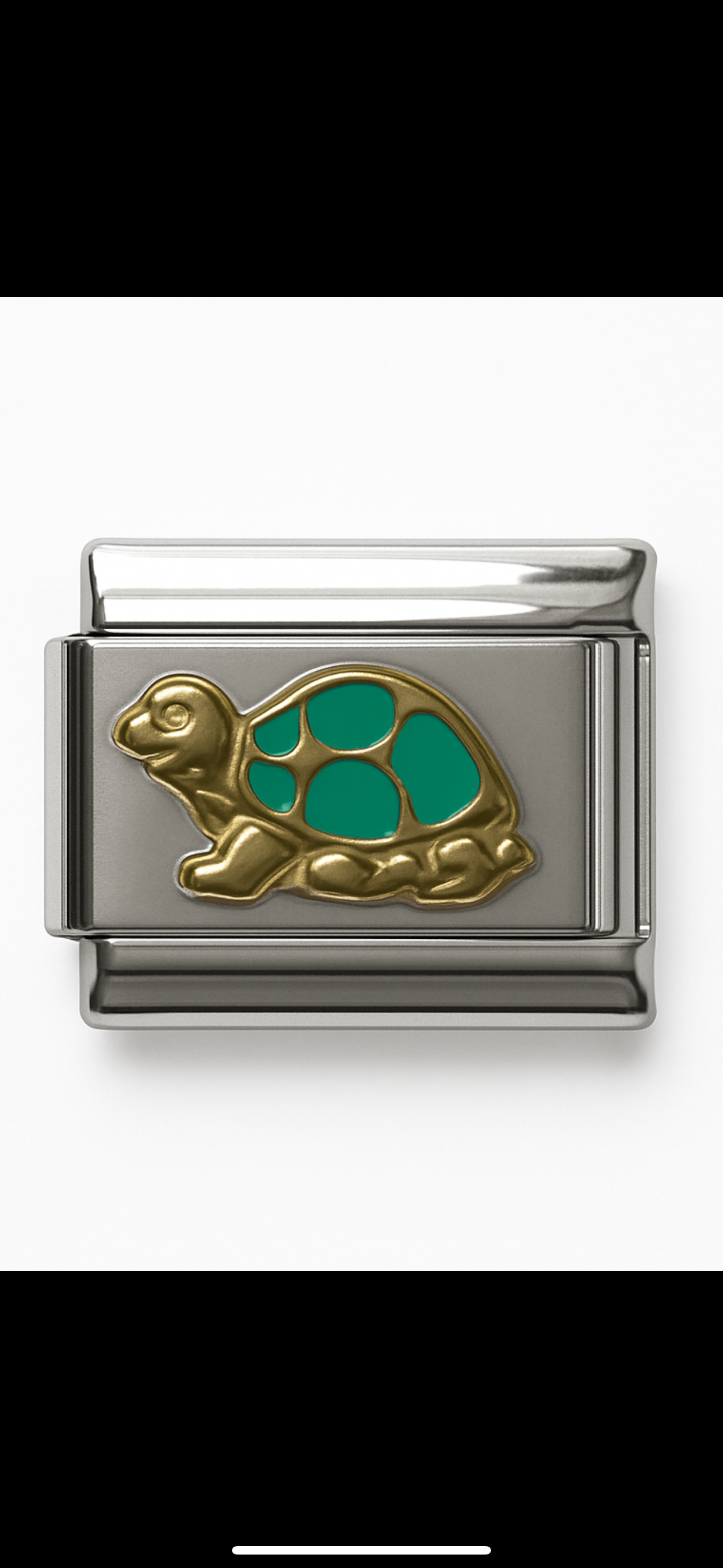Turtle charm