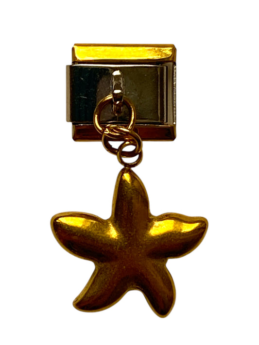 Golden star charm