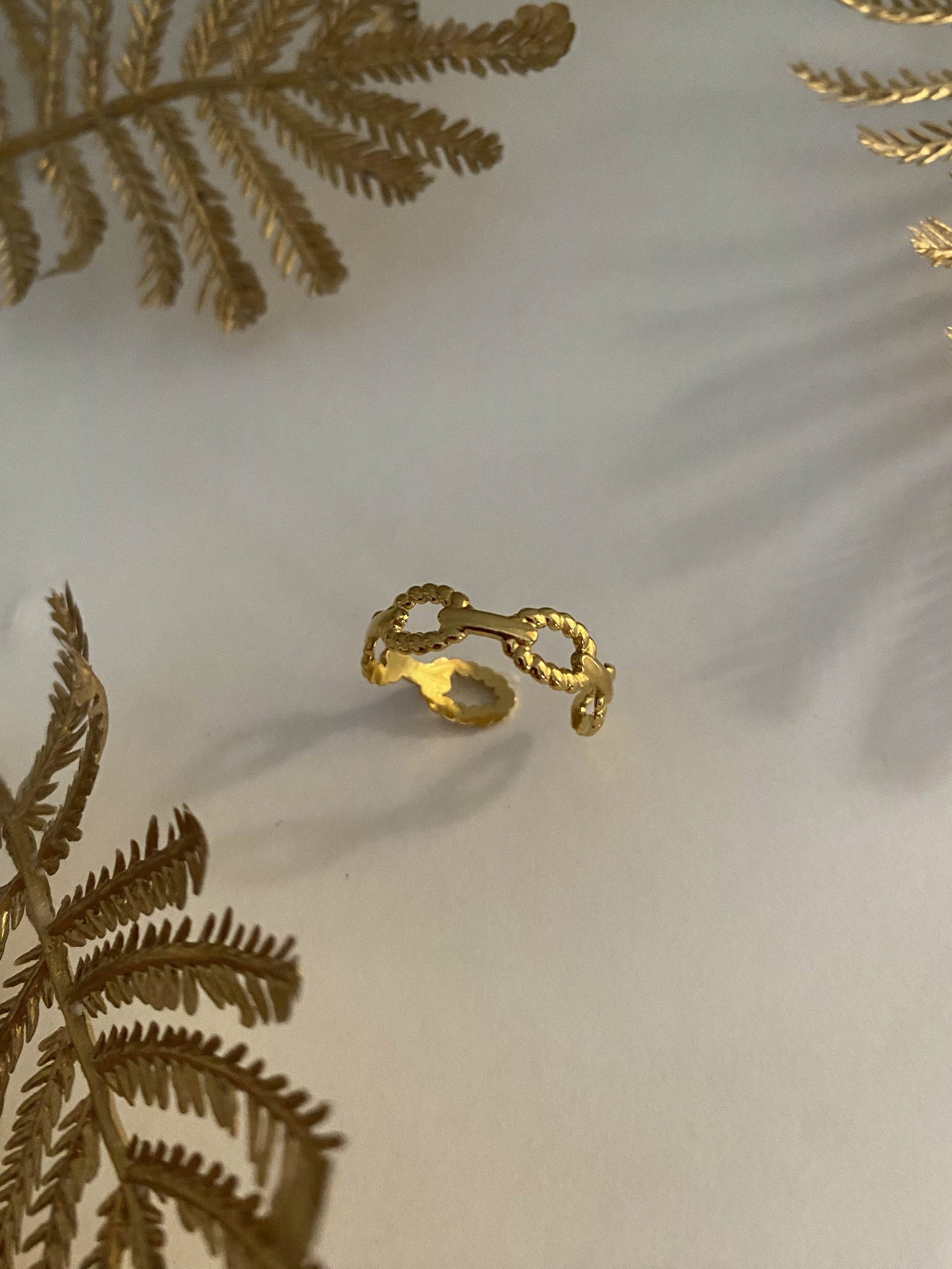 Chain Ring